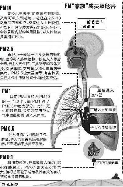 社科院等联合发布绿皮书:雾霾影响生殖能力